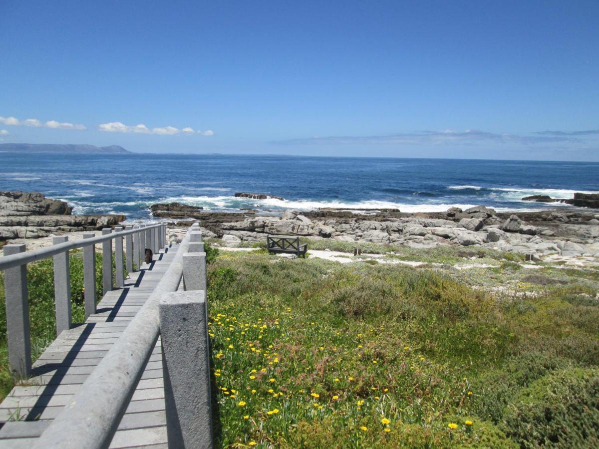 The Potting Shed Self Catering Apartment Hermanus Ngoại thất bức ảnh