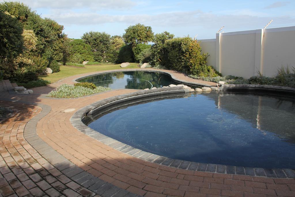 The Potting Shed Self Catering Apartment Hermanus Phòng bức ảnh